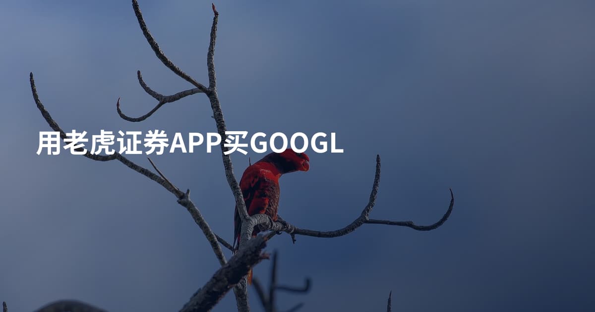 用老虎证券APP买GOOGL