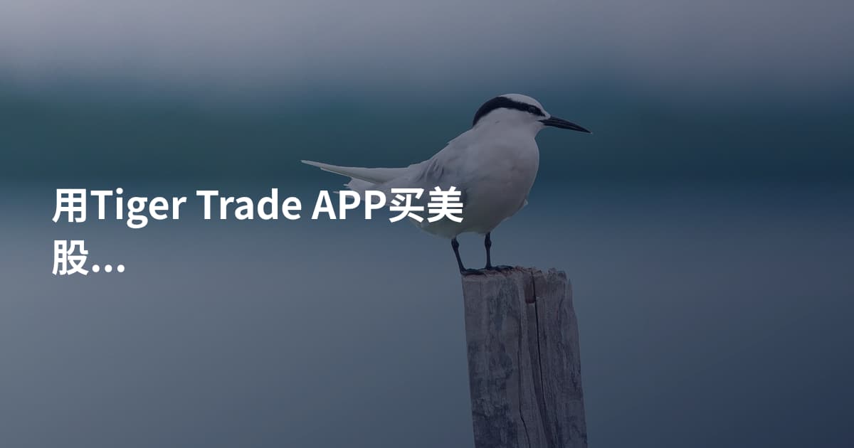 用Tiger Trade APP买美股ETF