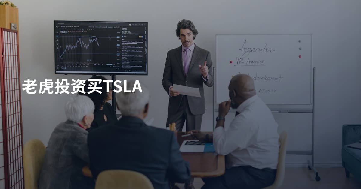 老虎投资买TSLA