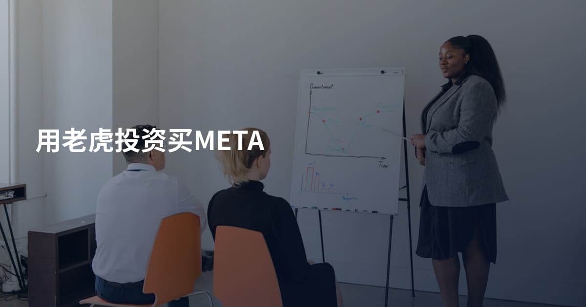 用老虎投资买META