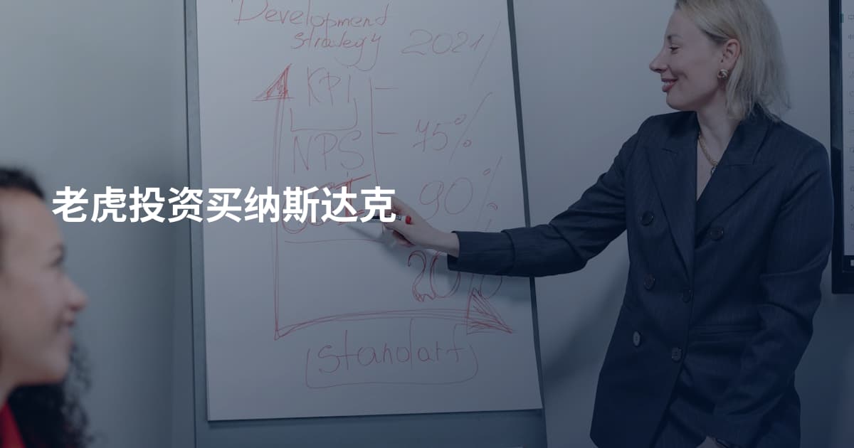 老虎投资买纳斯达克