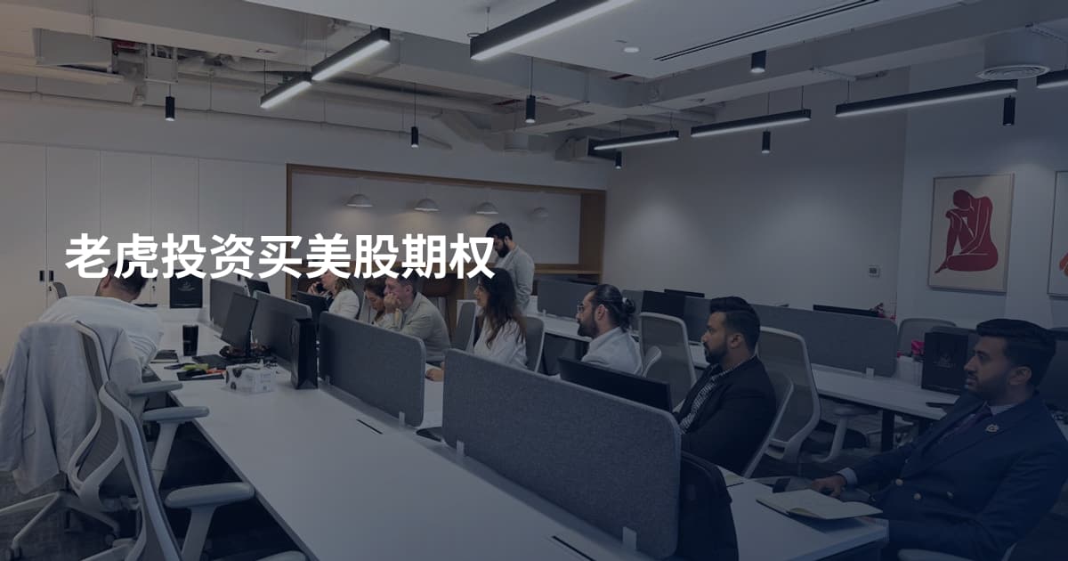 老虎投资买美股期权