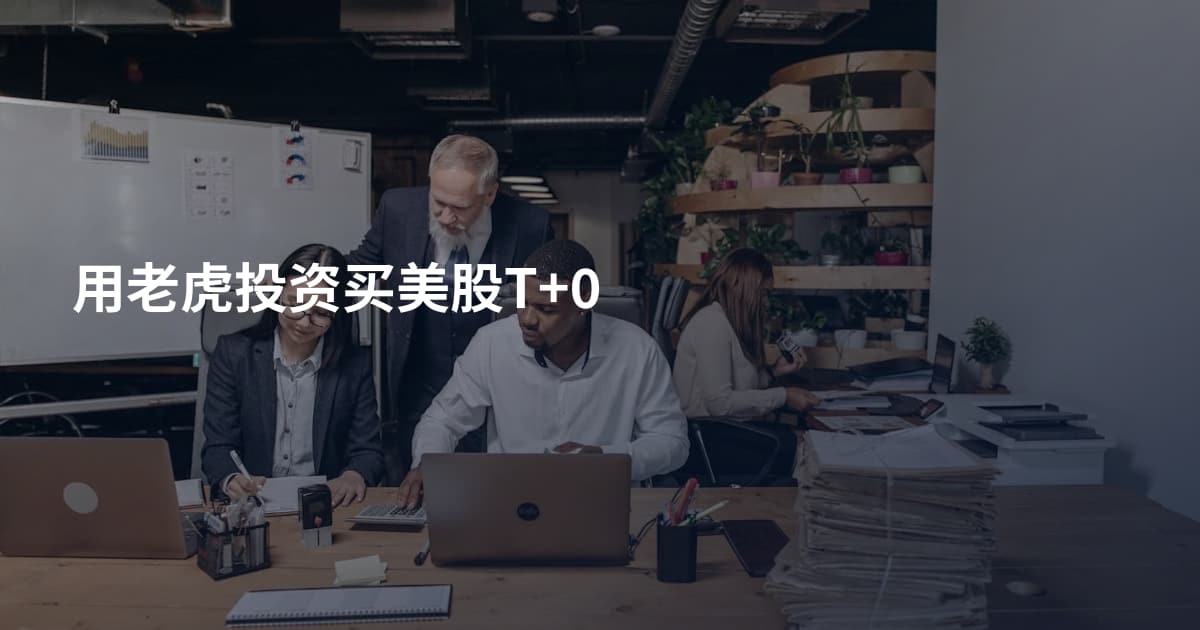 用老虎投资买美股T+0