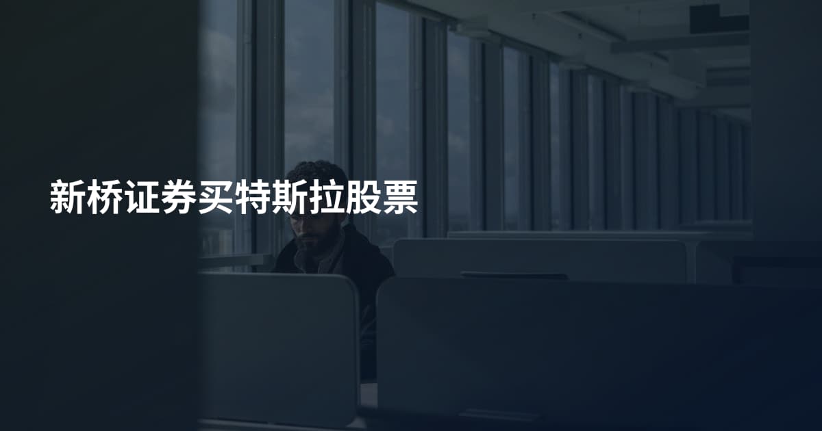 新桥证券买特斯拉股票