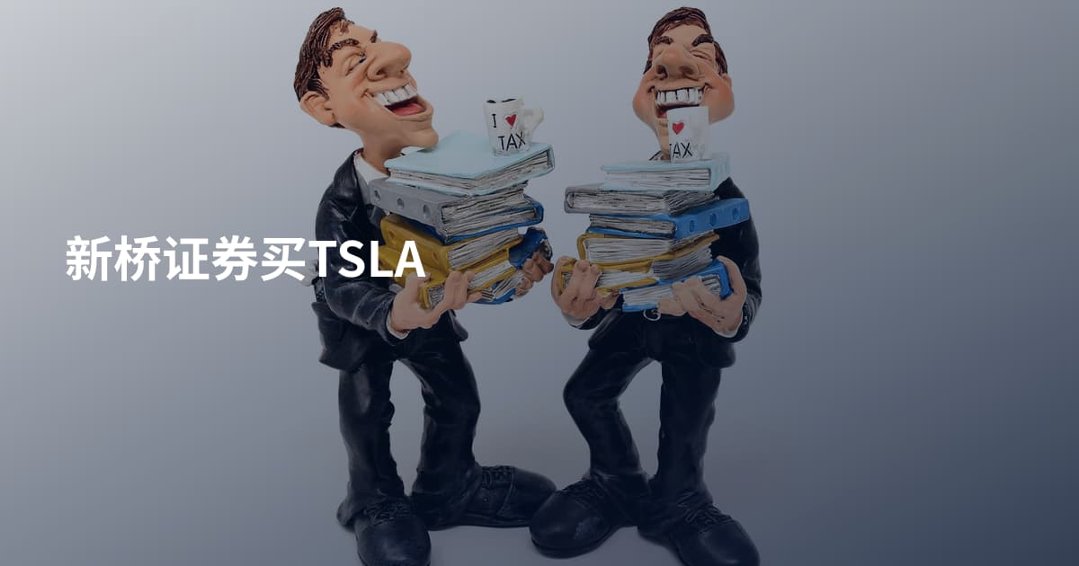 新桥证券买TSLA