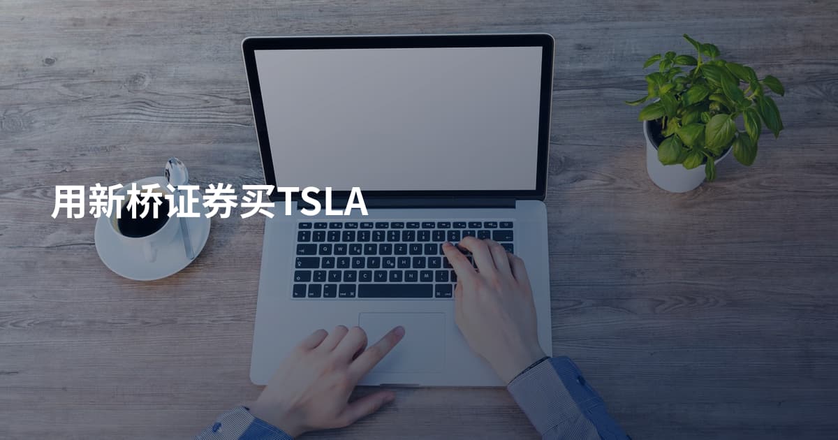 用新桥证券买TSLA