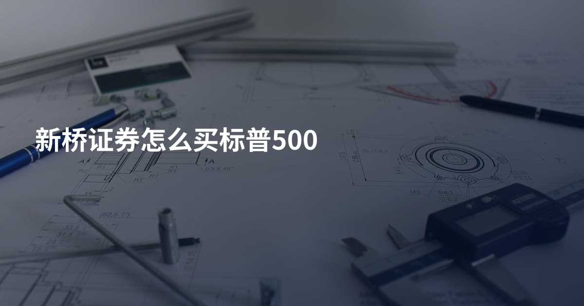 新桥证券怎么买标普500