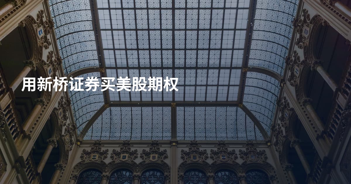用新桥证券买美股期权