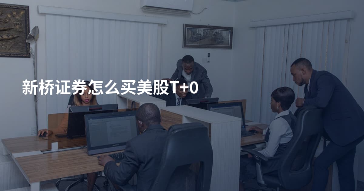 新桥证券怎么买美股T+0
