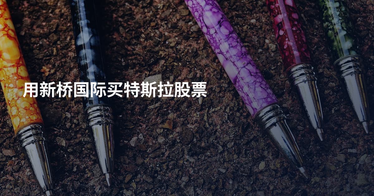 用新桥国际买特斯拉股票