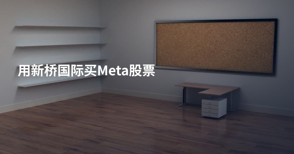 用新桥国际买Meta股票