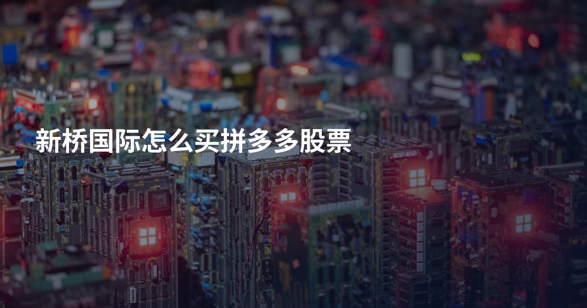 新桥国际怎么买拼多多股票