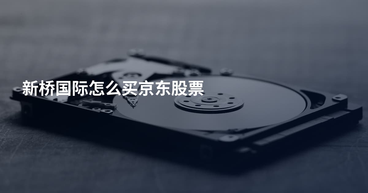 新桥国际怎么买京东股票