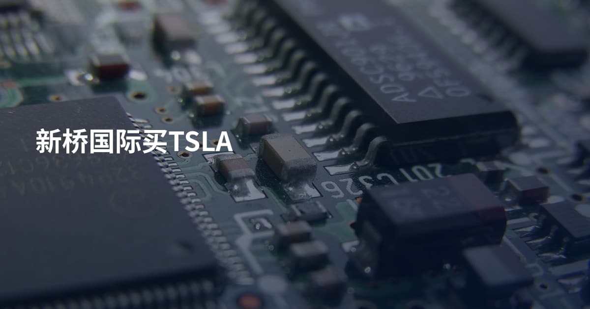 新桥国际买TSLA