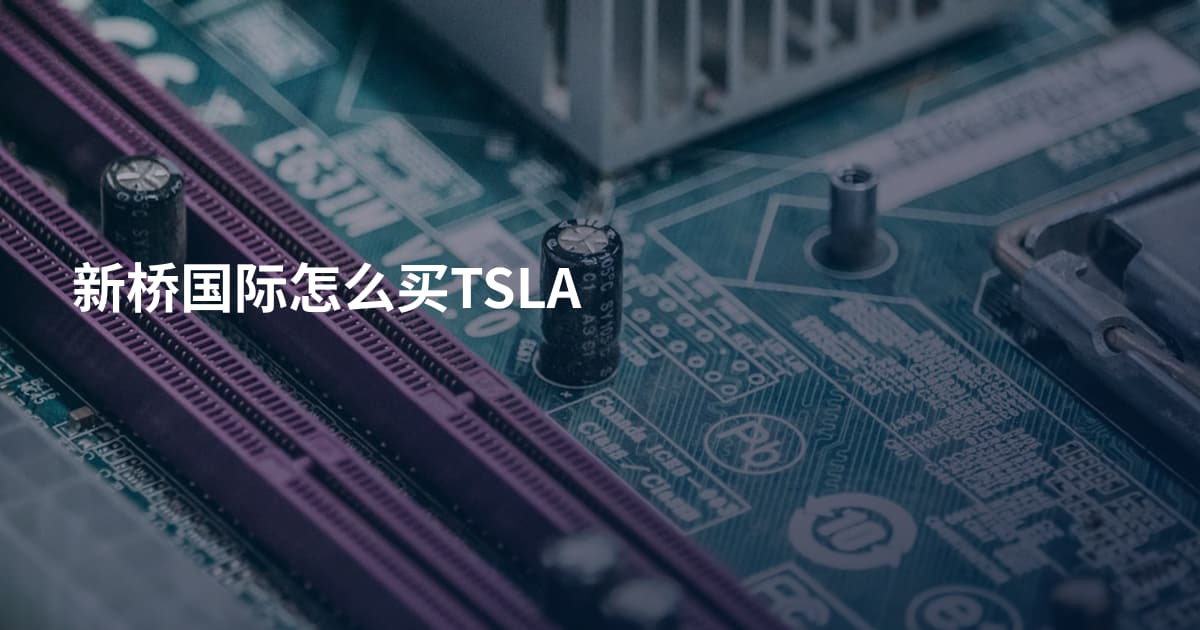 新桥国际怎么买TSLA