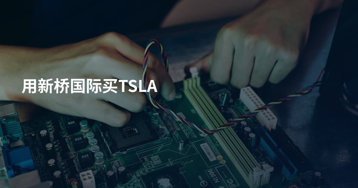 用新桥国际买TSLA