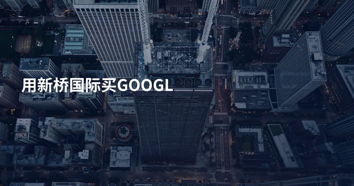 用新桥国际买GOOGL