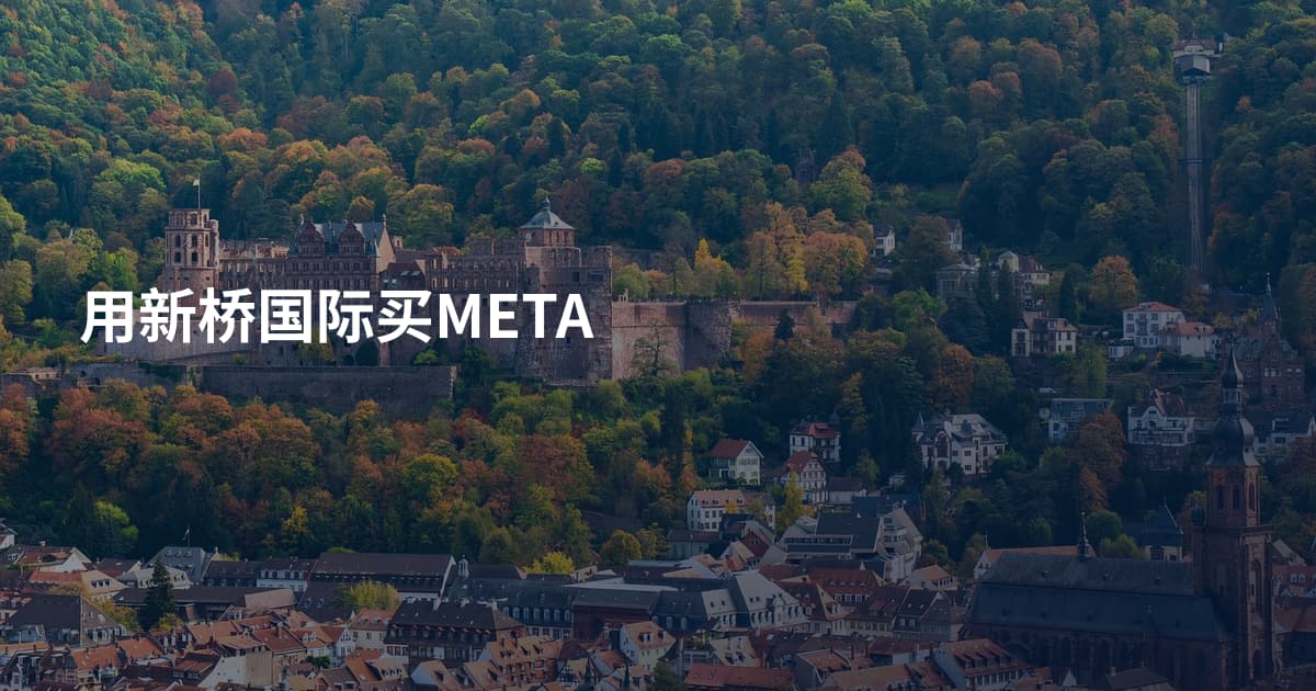用新桥国际买META