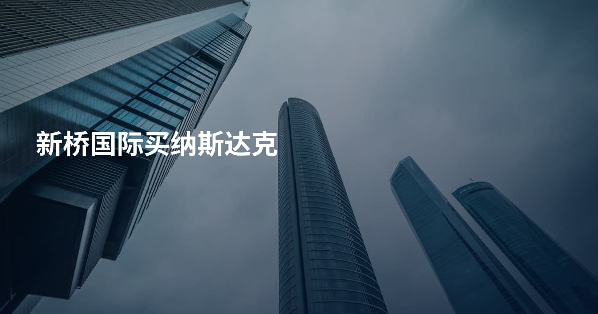 新桥国际买纳斯达克