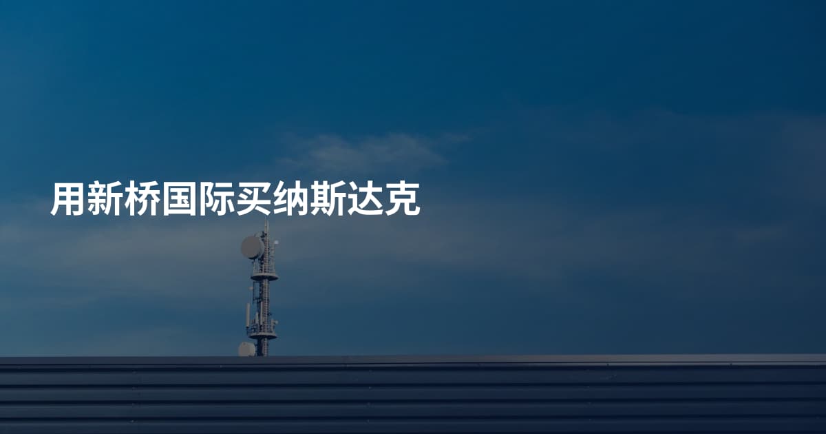 用新桥国际买纳斯达克