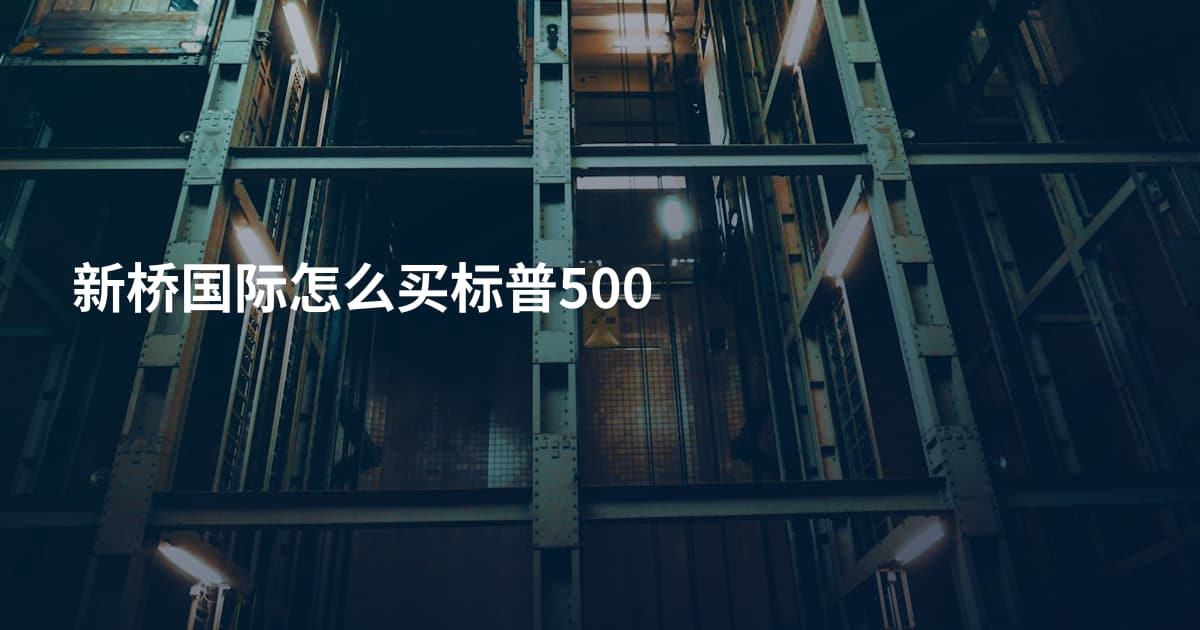 新桥国际怎么买标普500