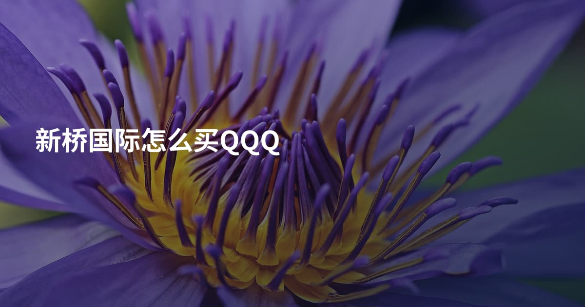 新桥国际怎么买QQQ