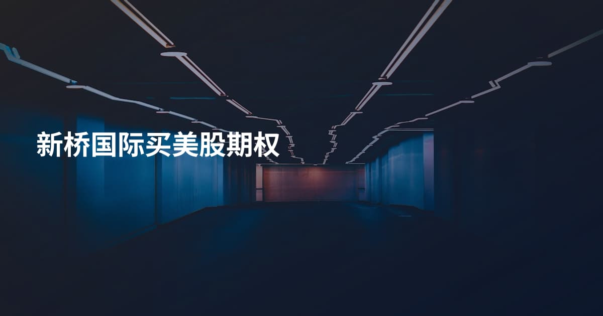 新桥国际买美股期权
