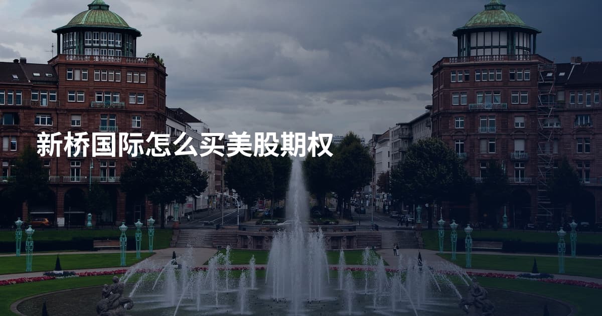 新桥国际怎么买美股期权