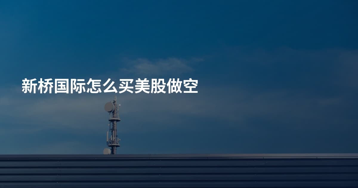 新桥国际怎么买美股做空