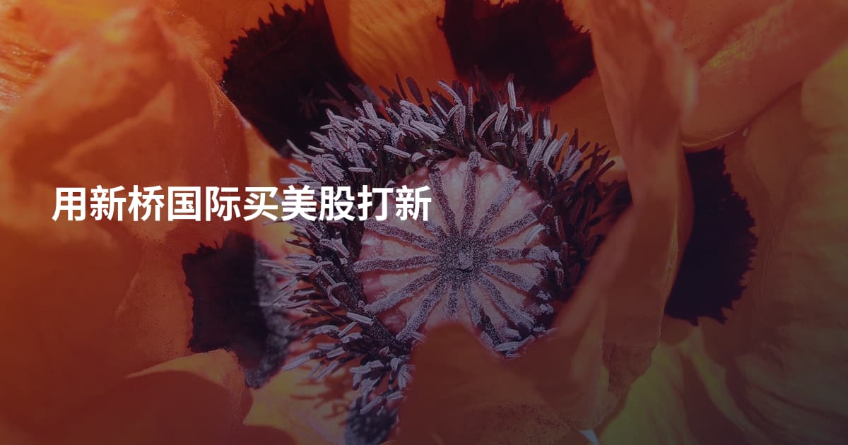 用新桥国际买美股打新