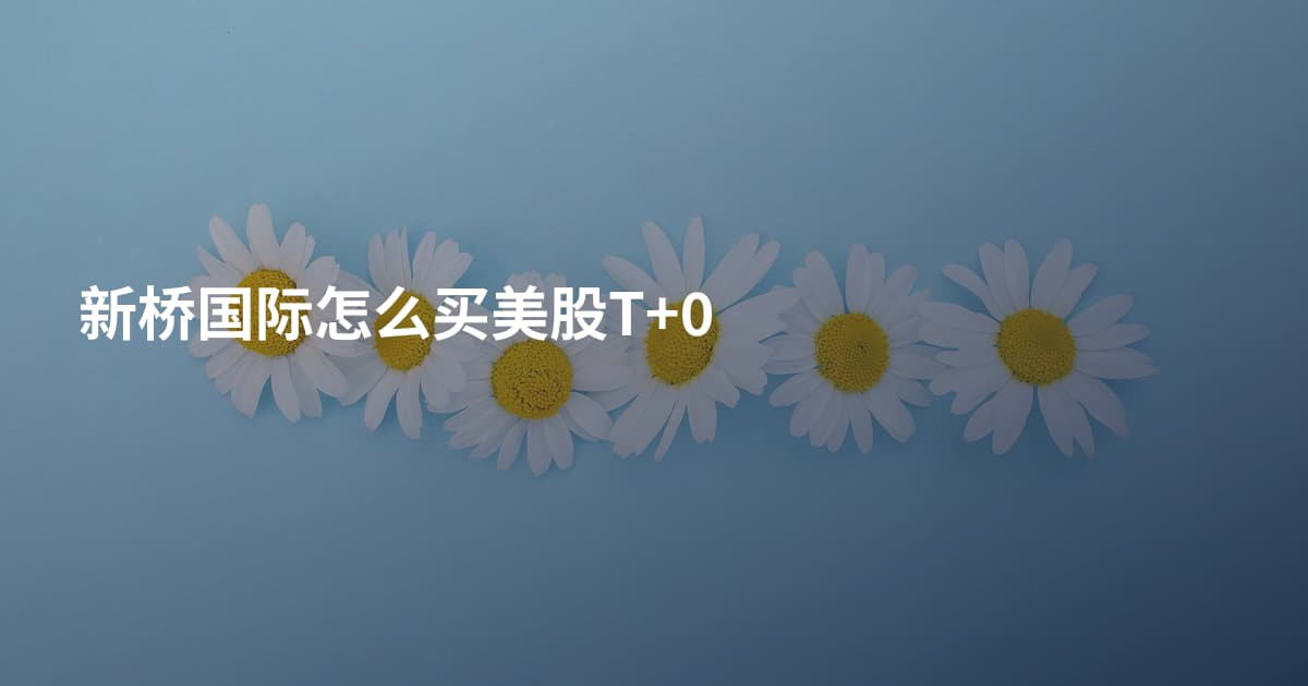 新桥国际怎么买美股T+0