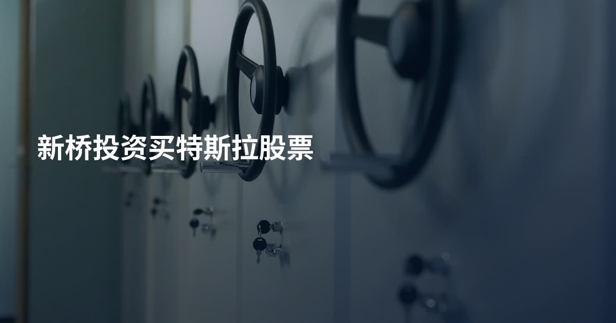 新桥投资买特斯拉股票