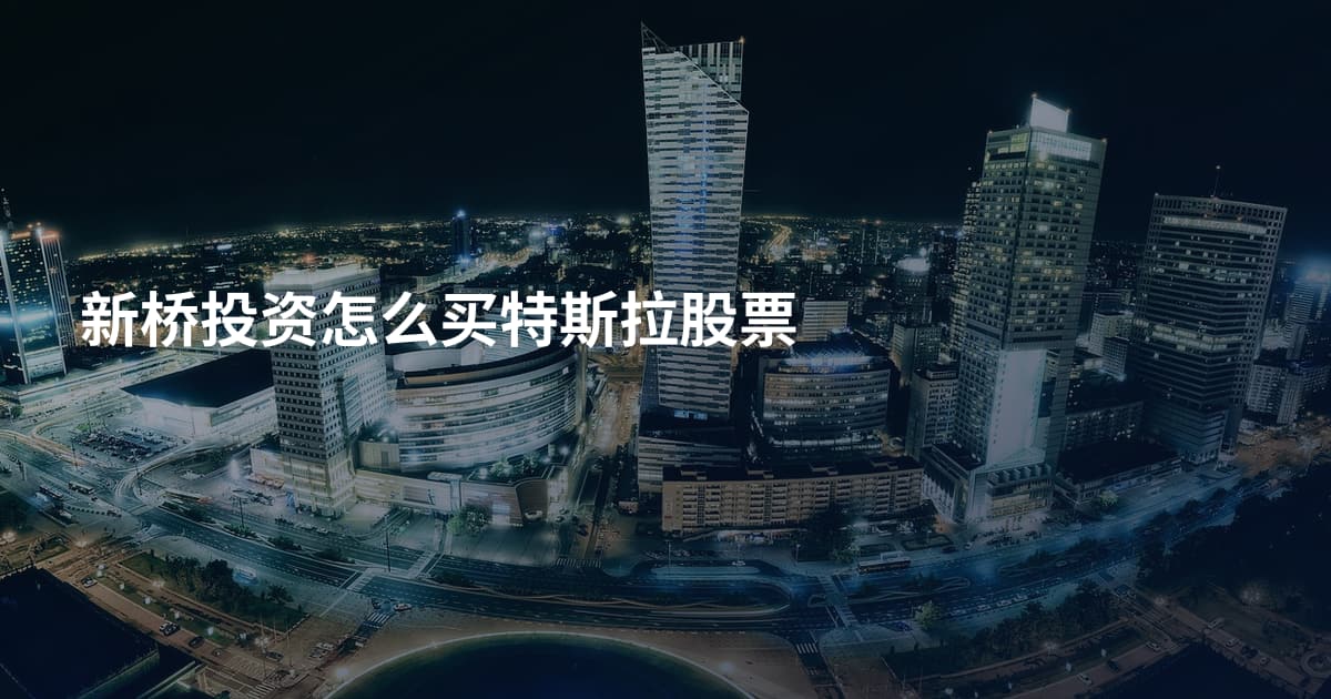 新桥投资怎么买特斯拉股票