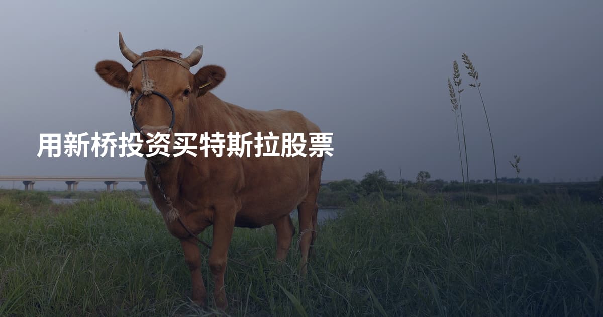 用新桥投资买特斯拉股票