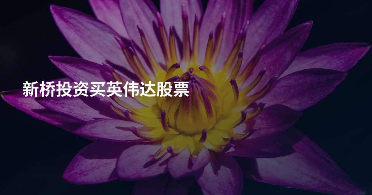 新桥投资买英伟达股票