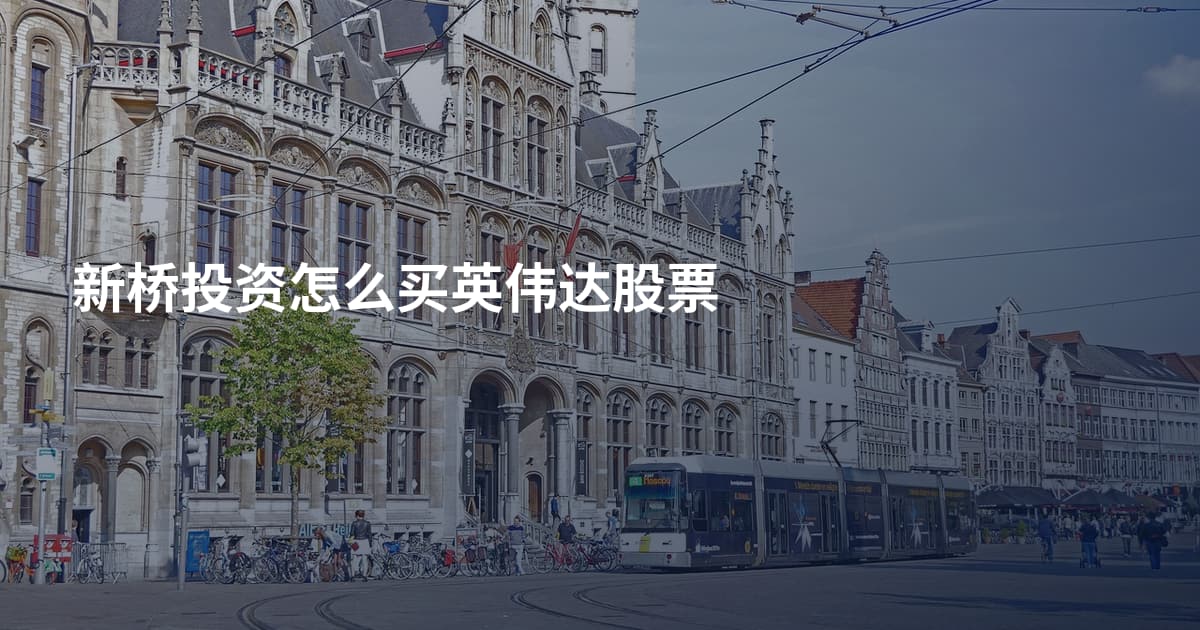 新桥投资怎么买英伟达股票