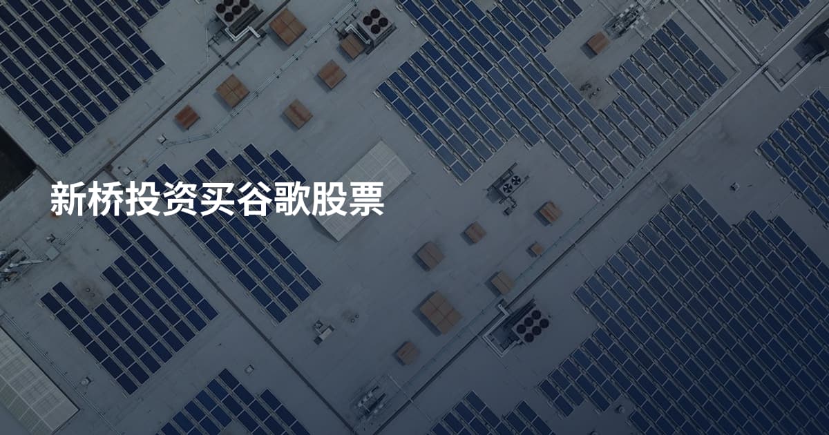 新桥投资买谷歌股票
