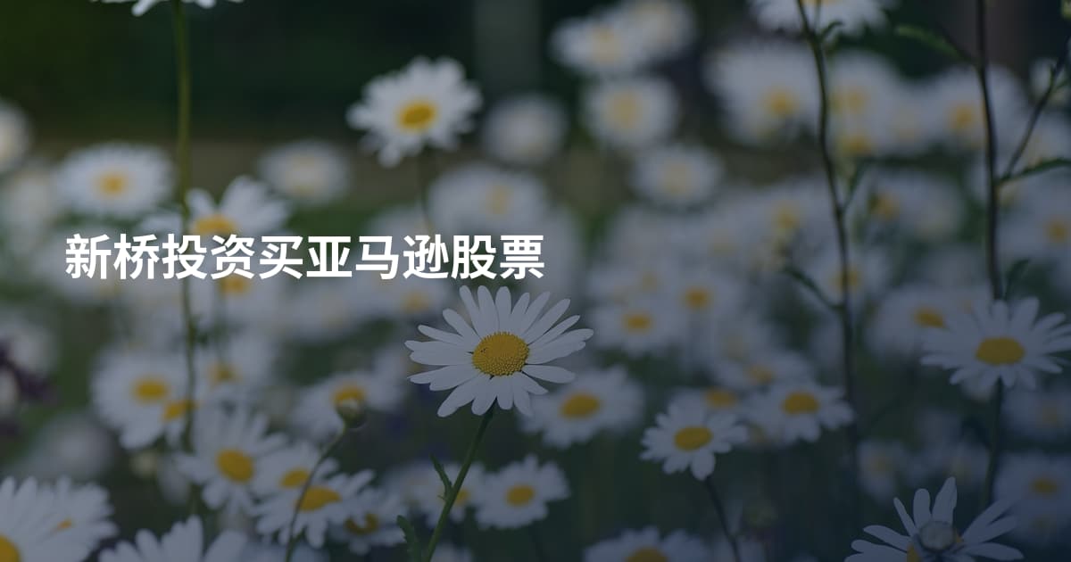 新桥投资买亚马逊股票