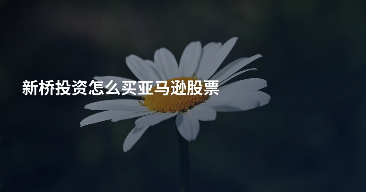 新桥投资怎么买亚马逊股票