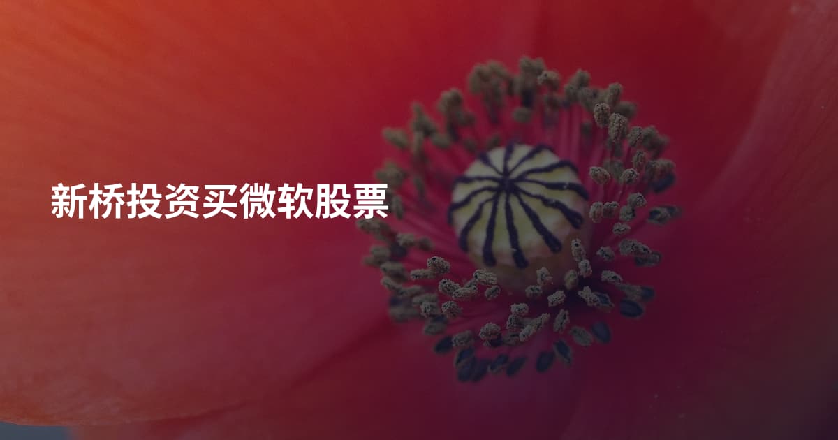 新桥投资买微软股票