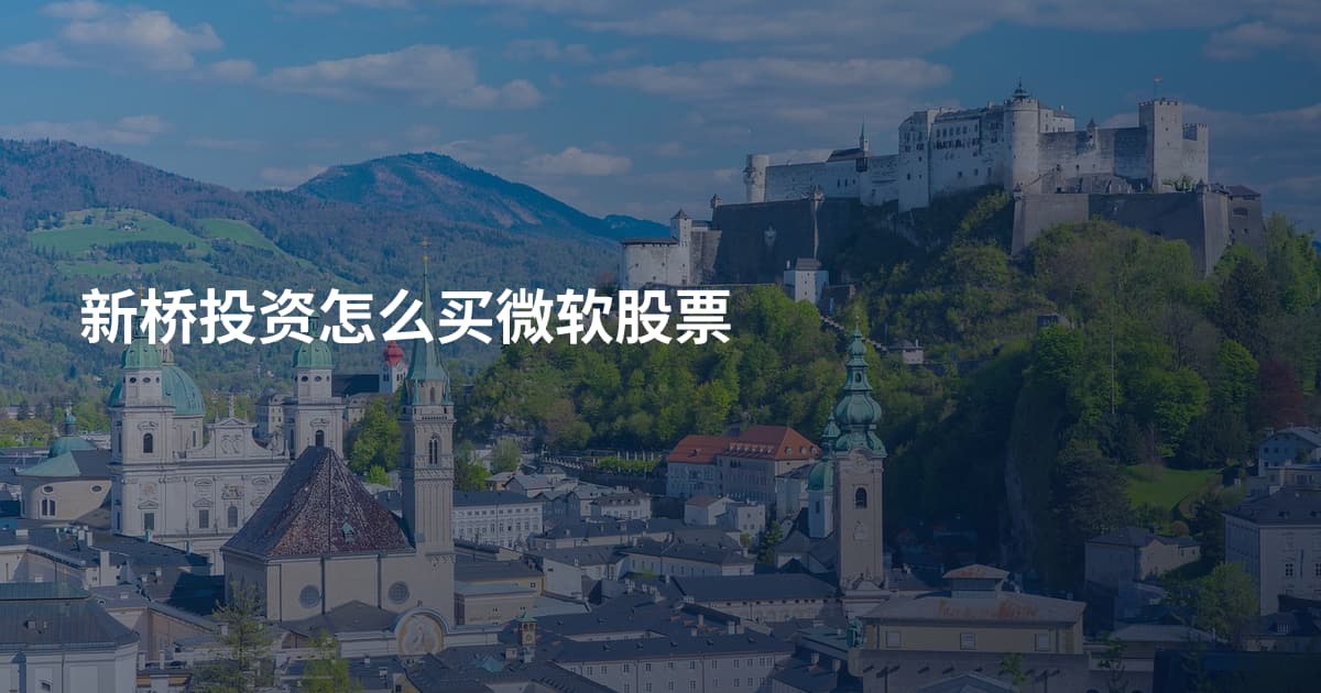 新桥投资怎么买微软股票