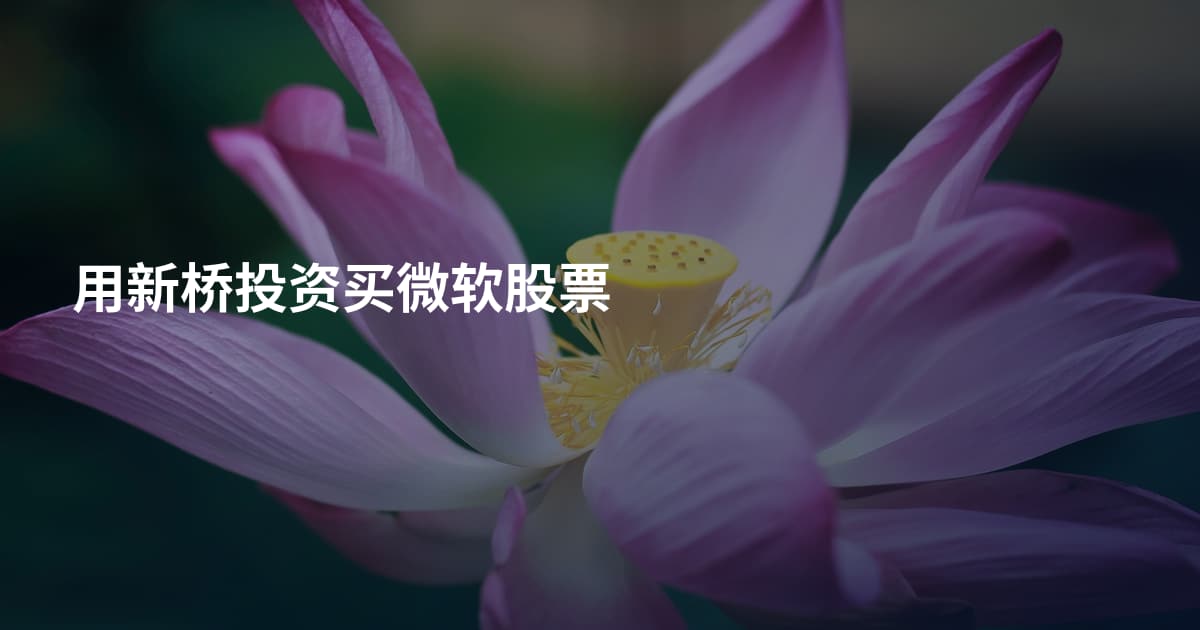 用新桥投资买微软股票