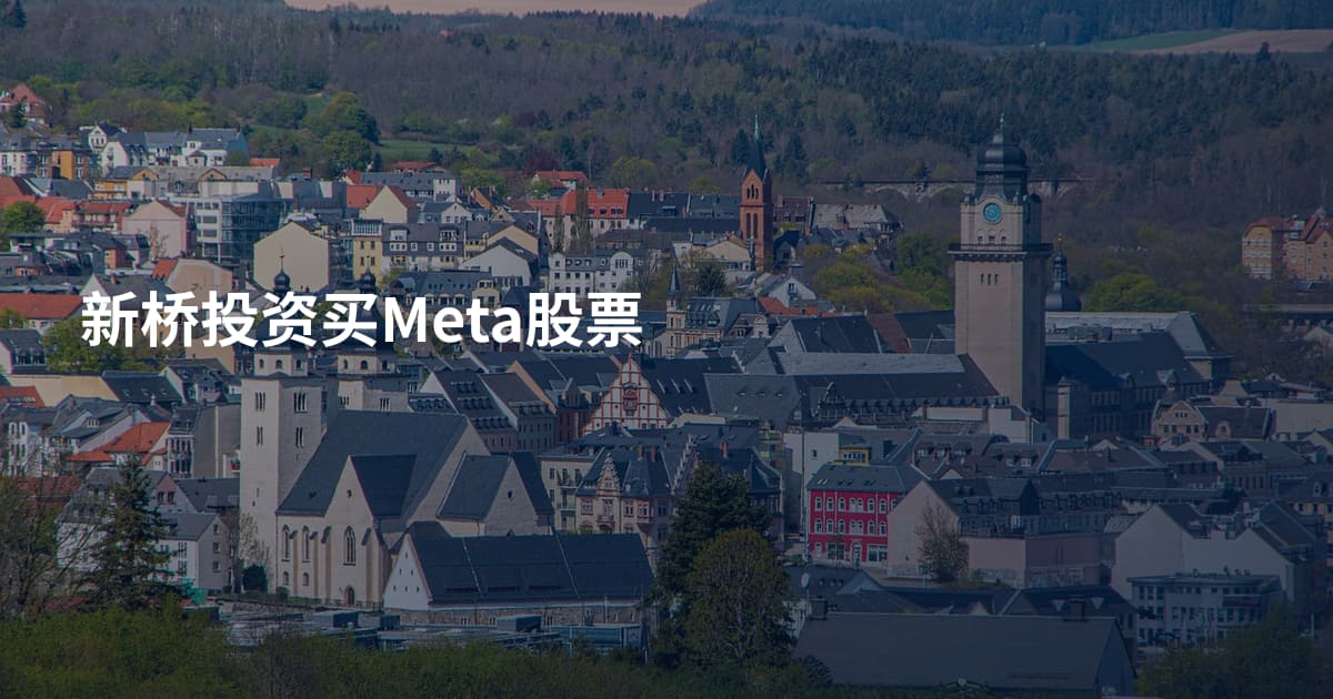 新桥投资买Meta股票