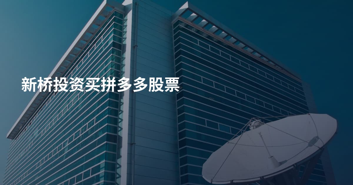 新桥投资买拼多多股票