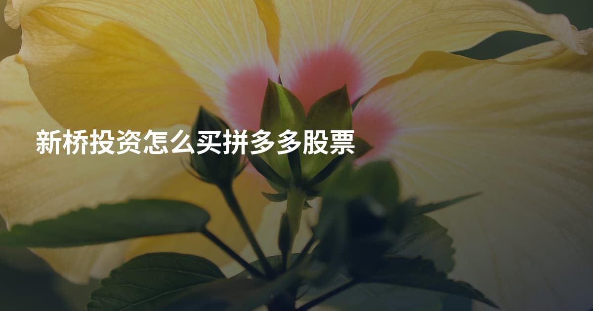 新桥投资怎么买拼多多股票