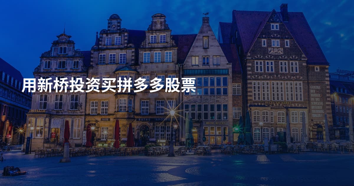 用新桥投资买拼多多股票