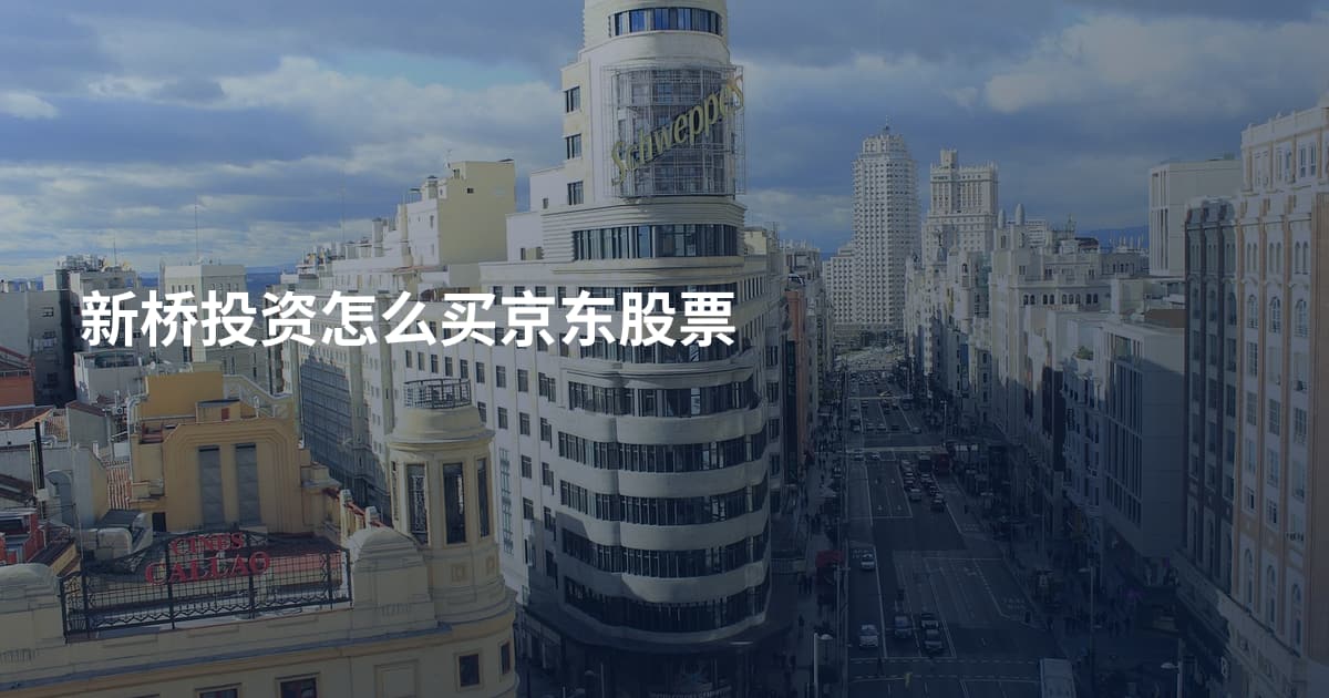 新桥投资怎么买京东股票