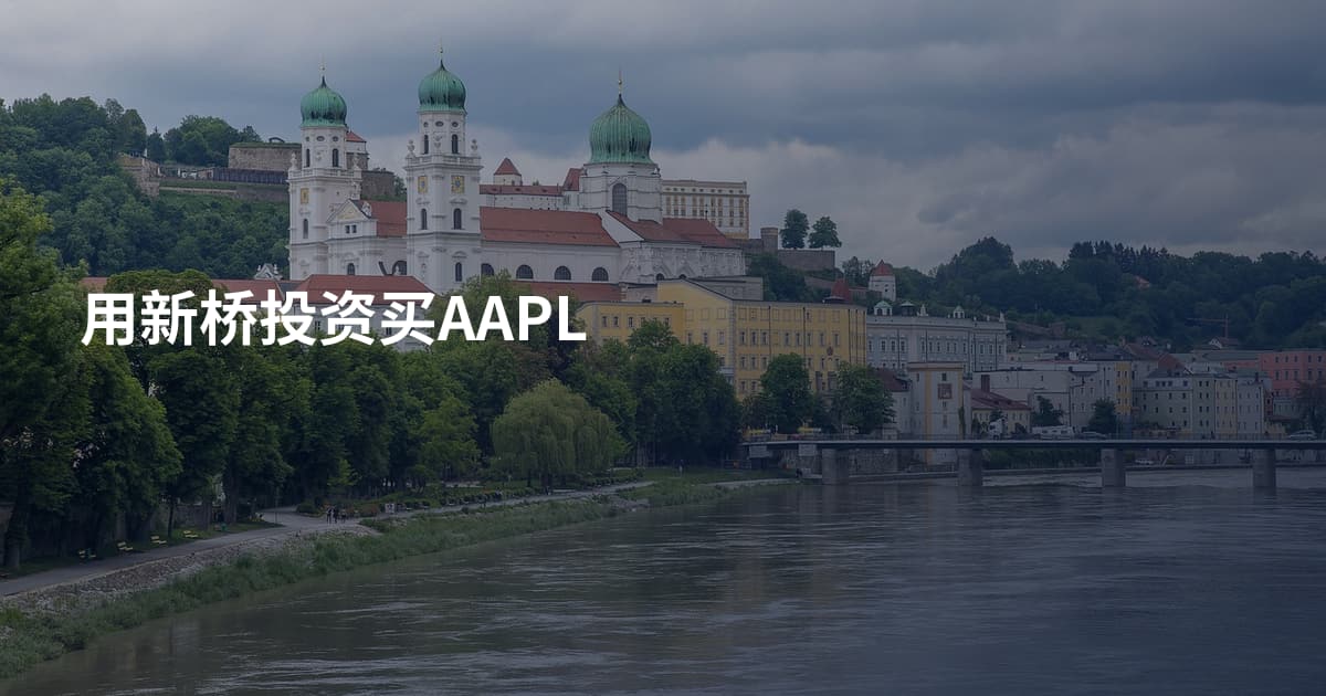 用新桥投资买AAPL