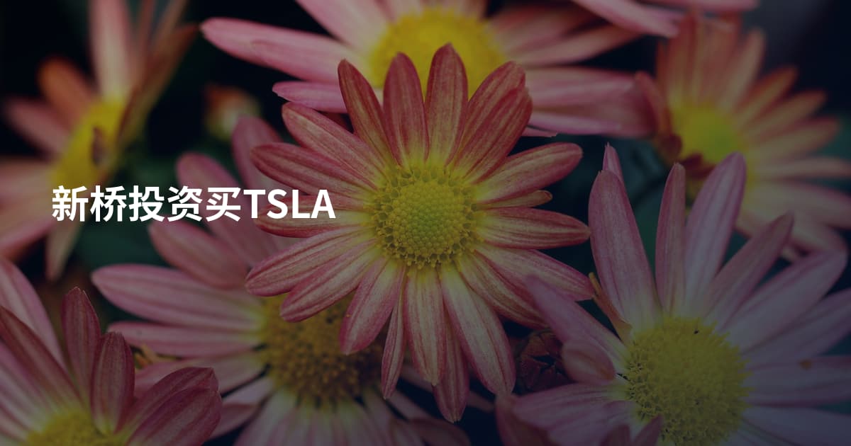 新桥投资买TSLA