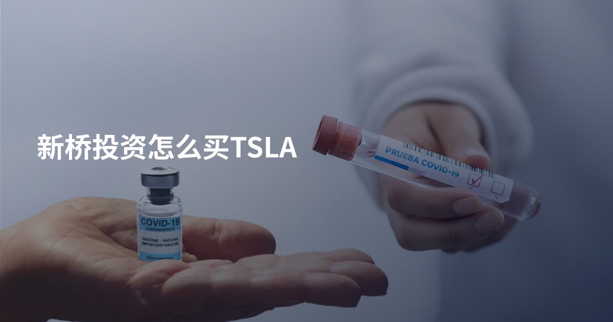 新桥投资怎么买TSLA